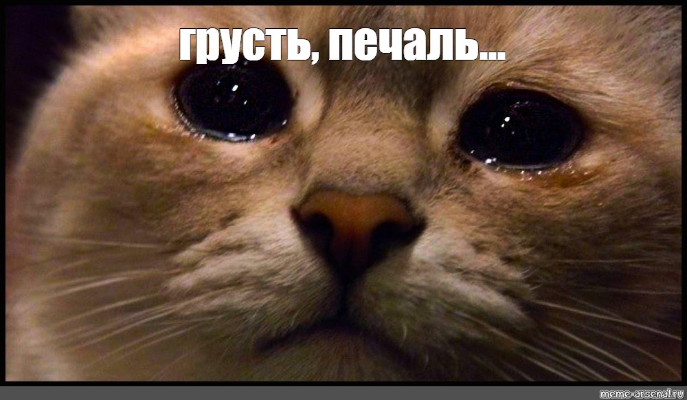 Грустная картинка